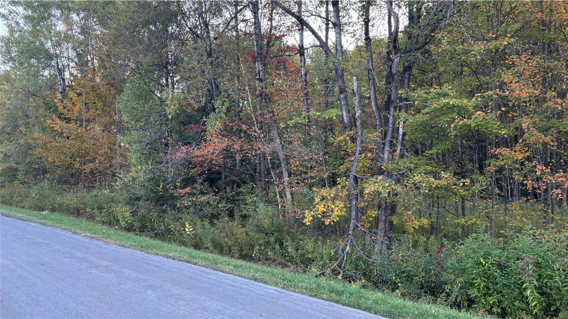 Property at 273 White Road, Parish, NY 13131 20