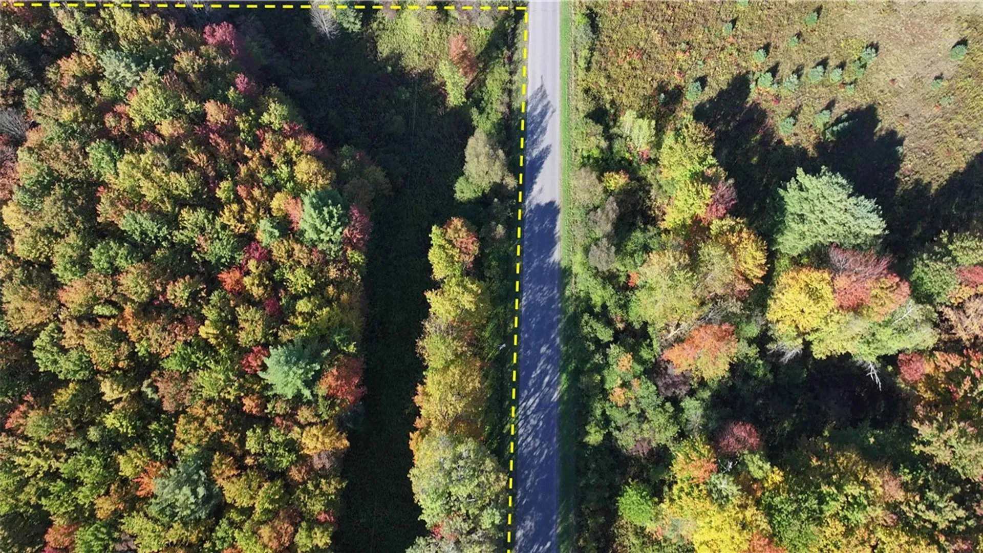 Property at 273 White Road, Parish, NY 13131 8