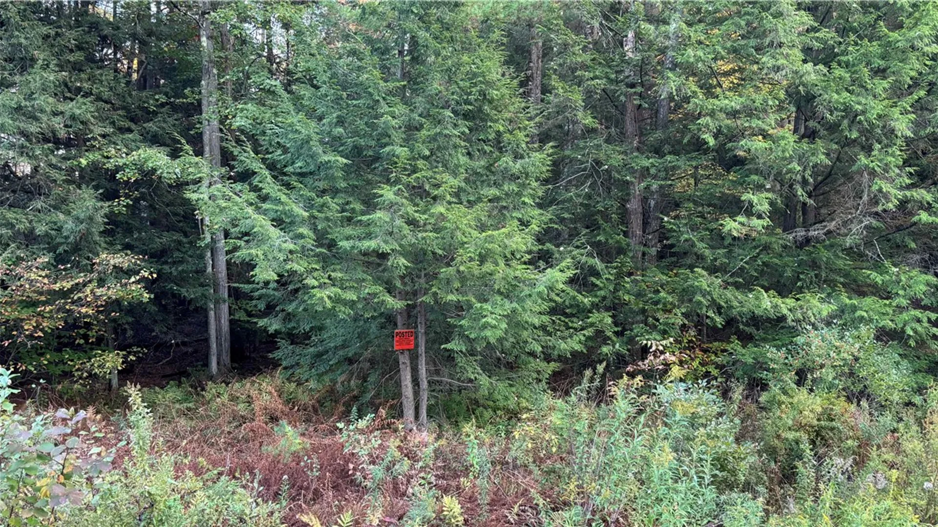 Property at 210 White Road, Parish, NY 13131 16