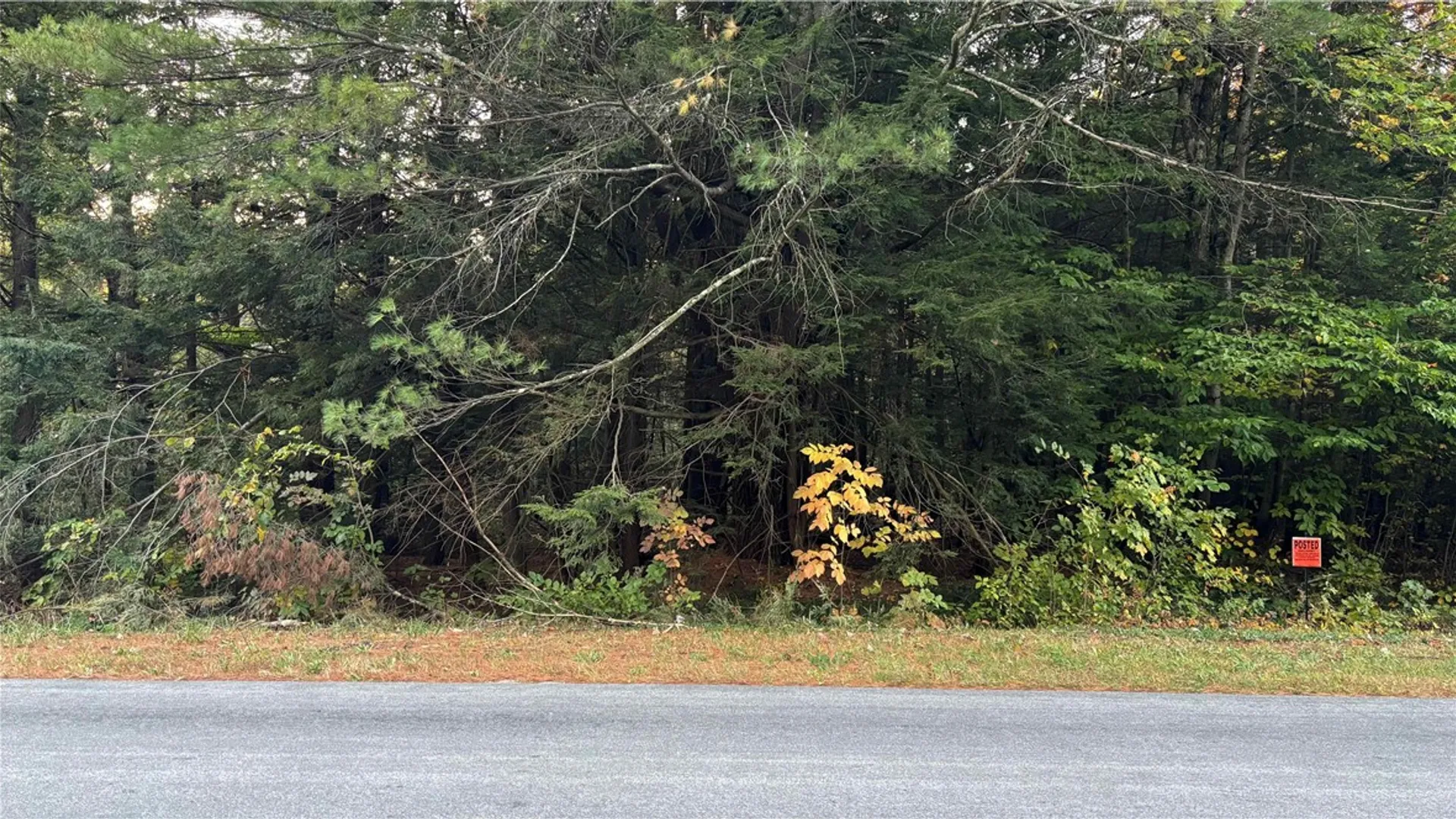 Property at 210 White Road, Parish, NY 13131 18