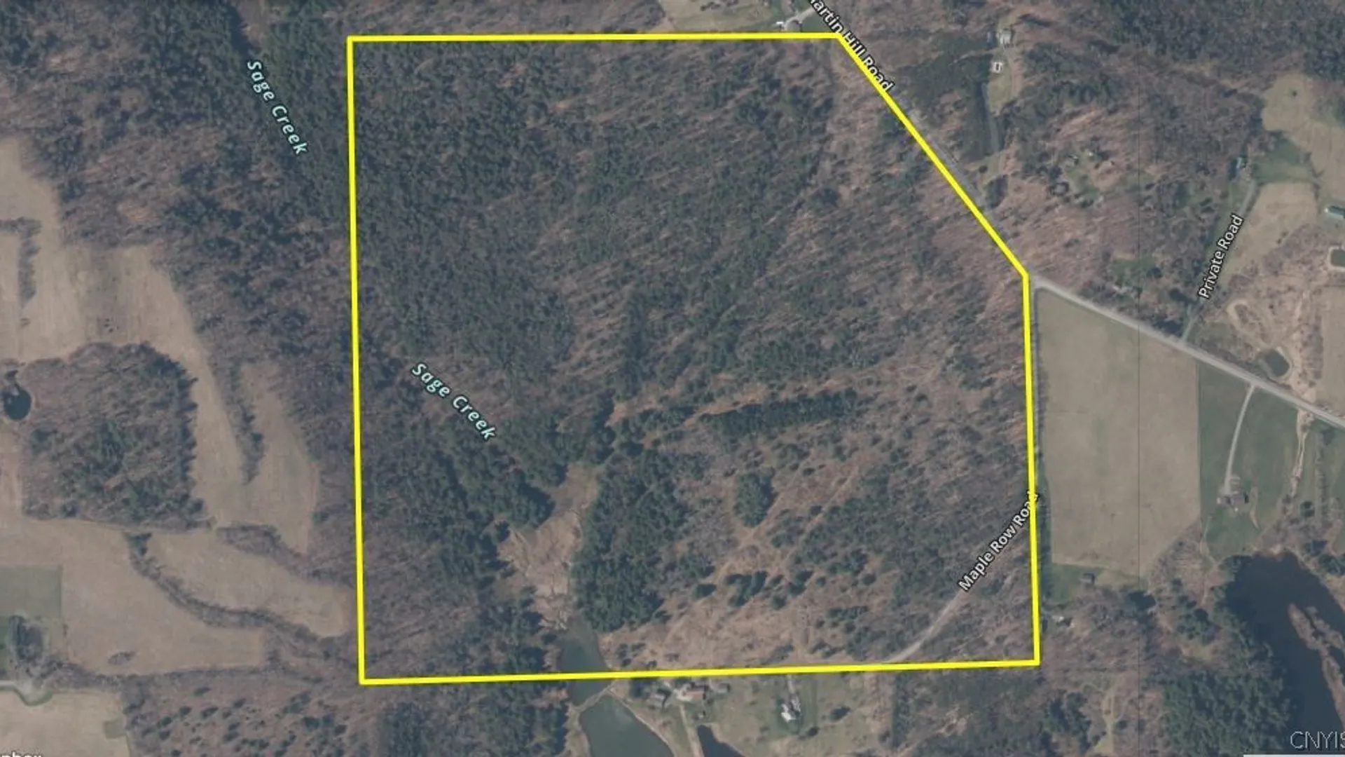 Property at 219 Martin Hill Road, Colesville, NY 13787 10