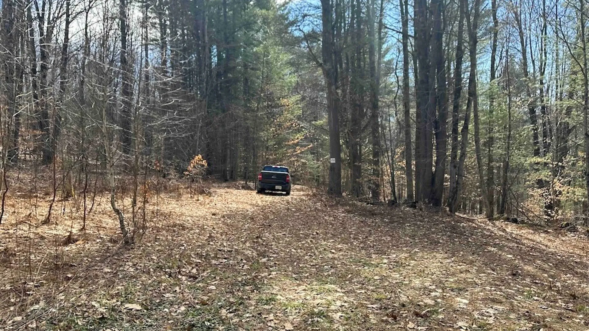 Property at 219 Martin Hill Road, Colesville, NY 13787 16