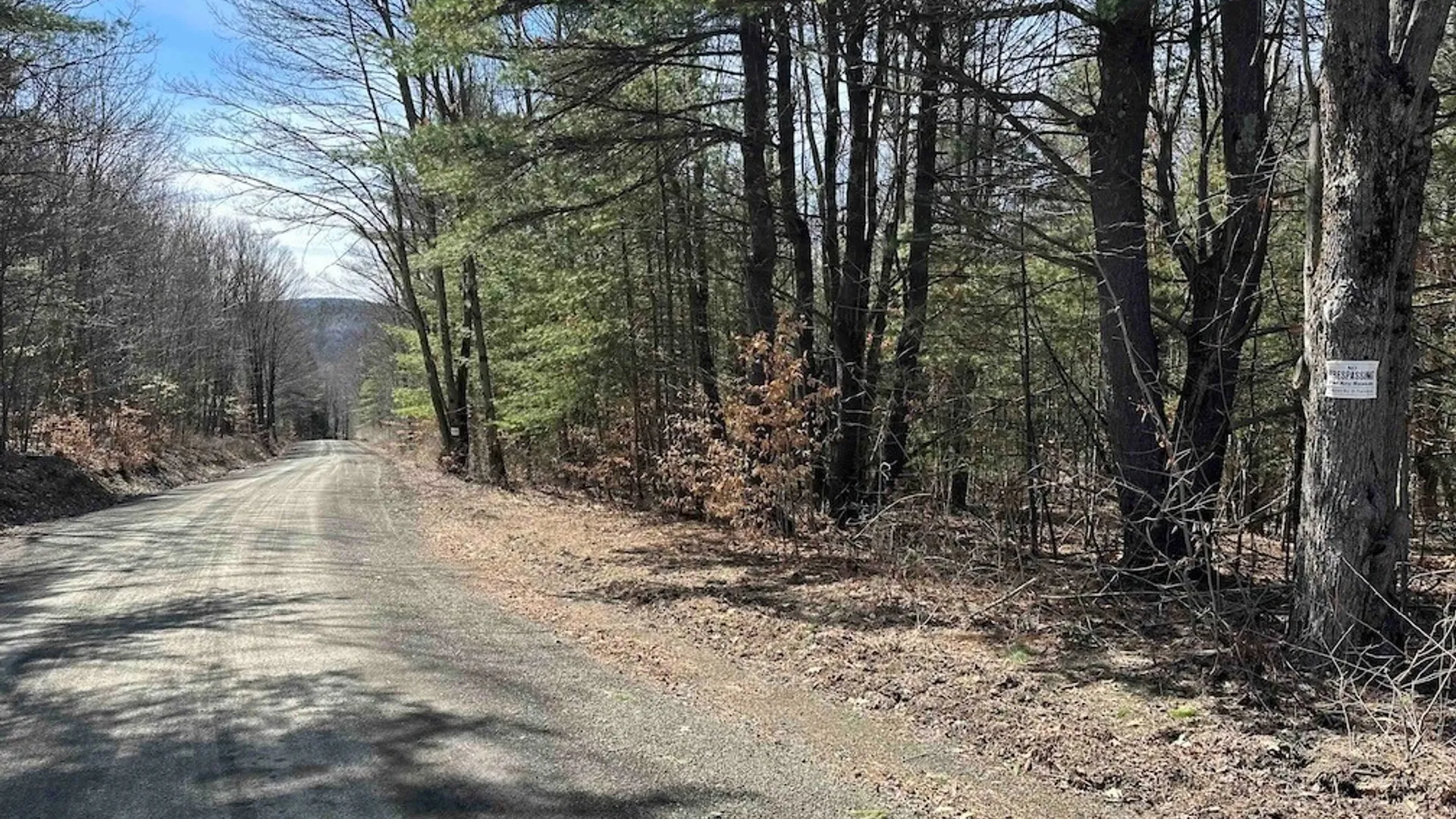 Property at 219 Martin Hill Road, Colesville, NY 13787 17