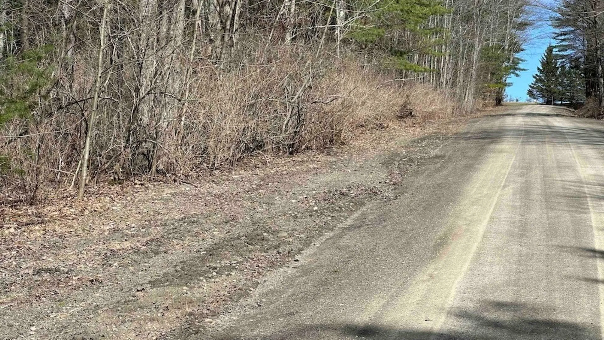 Property at 219 Martin Hill Road, Colesville, NY 13787 19