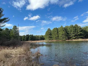 219 Martin Hill Road, Colesville, NY 13787