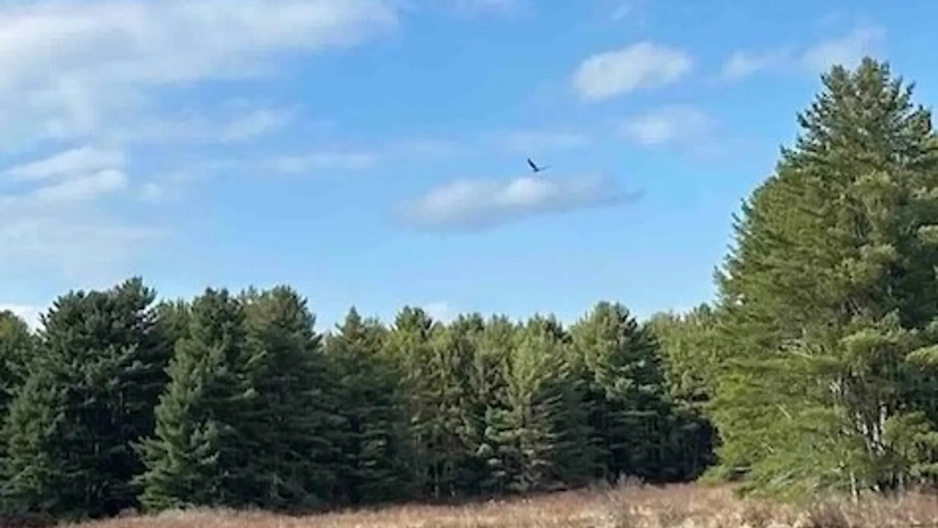 Property at 219 Martin Hill Road, Colesville, NY 13787 2