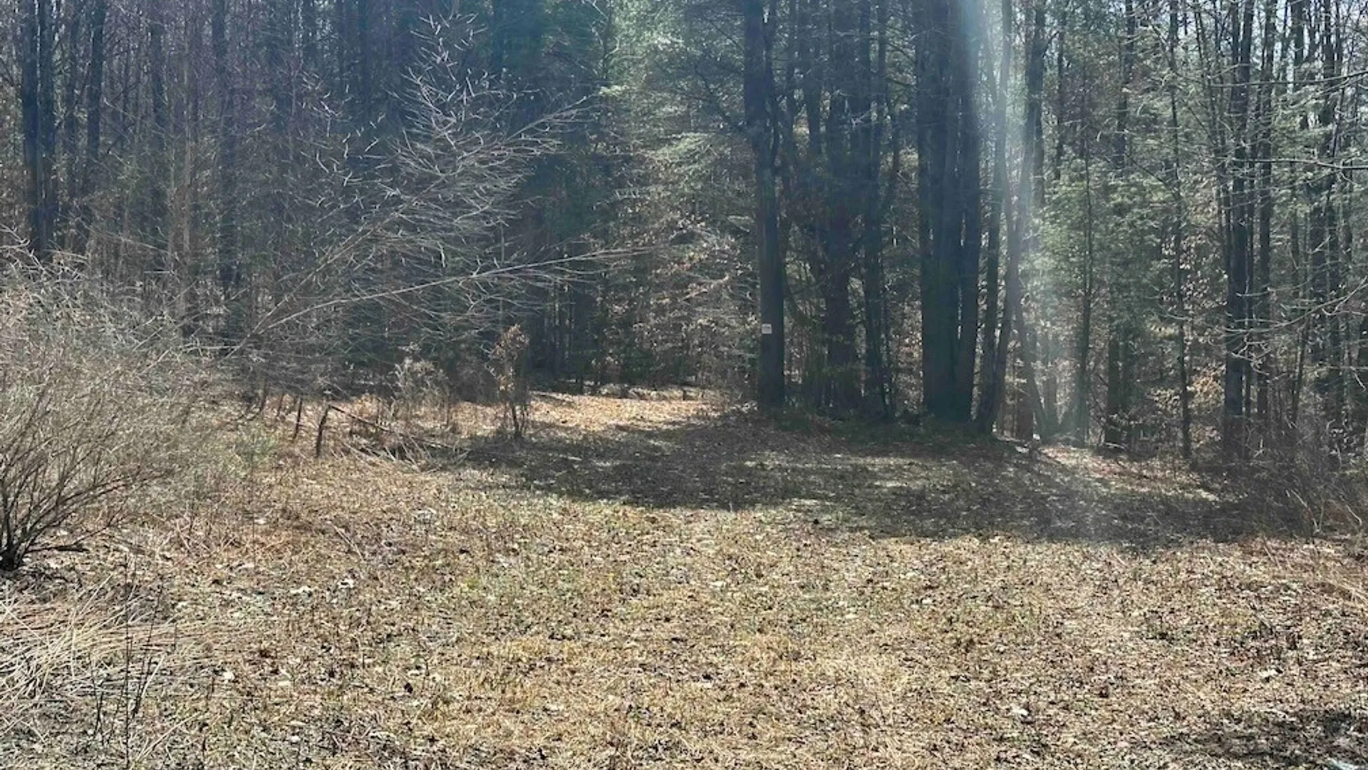 Property at 219 Martin Hill Road, Colesville, NY 13787 20