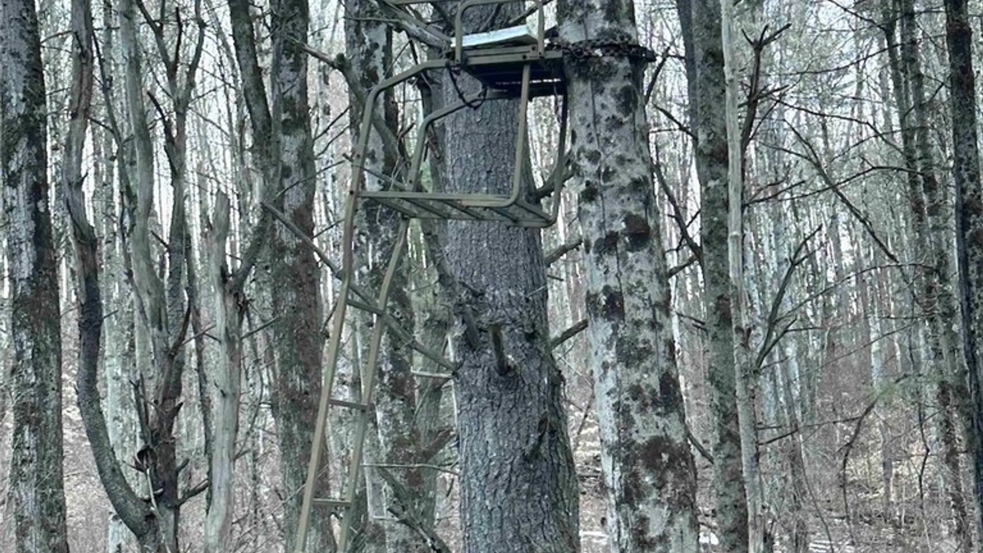 Property at 219 Martin Hill Road, Colesville, NY 13787 23