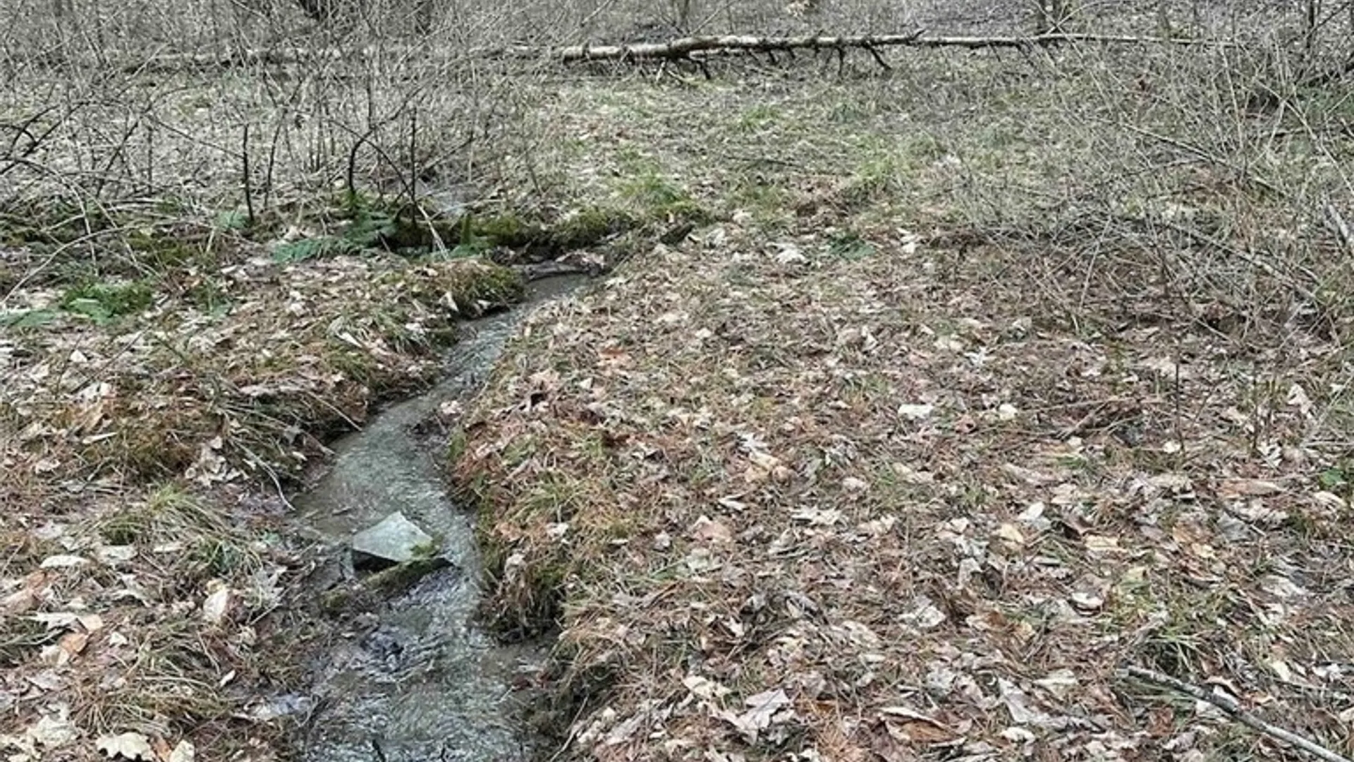 Property at 219 Martin Hill Road, Colesville, NY 13787 24