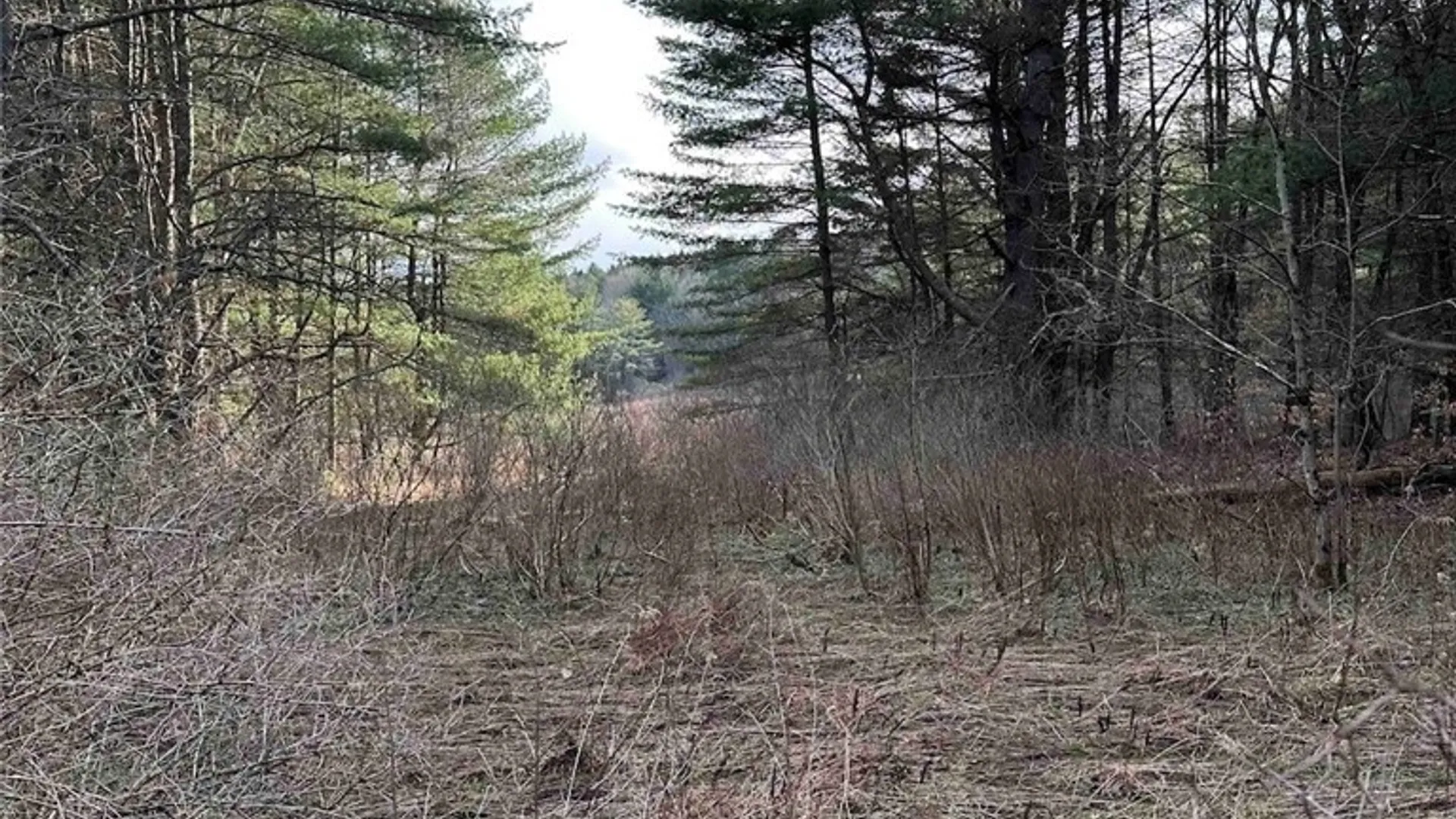 Property at 219 Martin Hill Road, Colesville, NY 13787 25