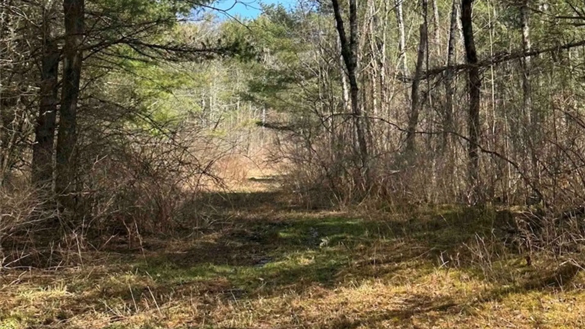 Property at 219 Martin Hill Road, Colesville, NY 13787 27