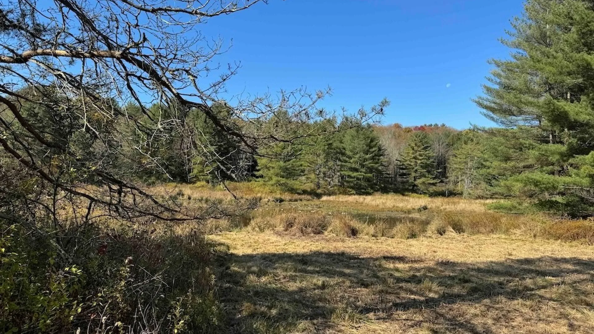 Property at 219 Martin Hill Road, Colesville, NY 13787 3