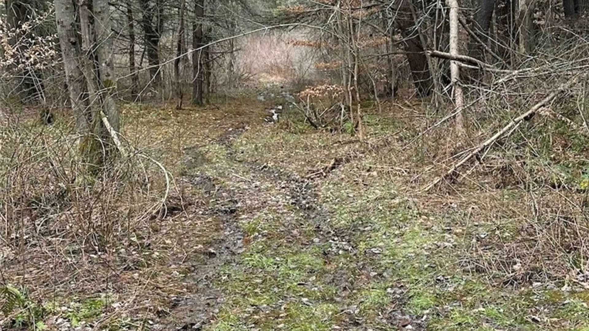 Property at 219 Martin Hill Road, Colesville, NY 13787 31