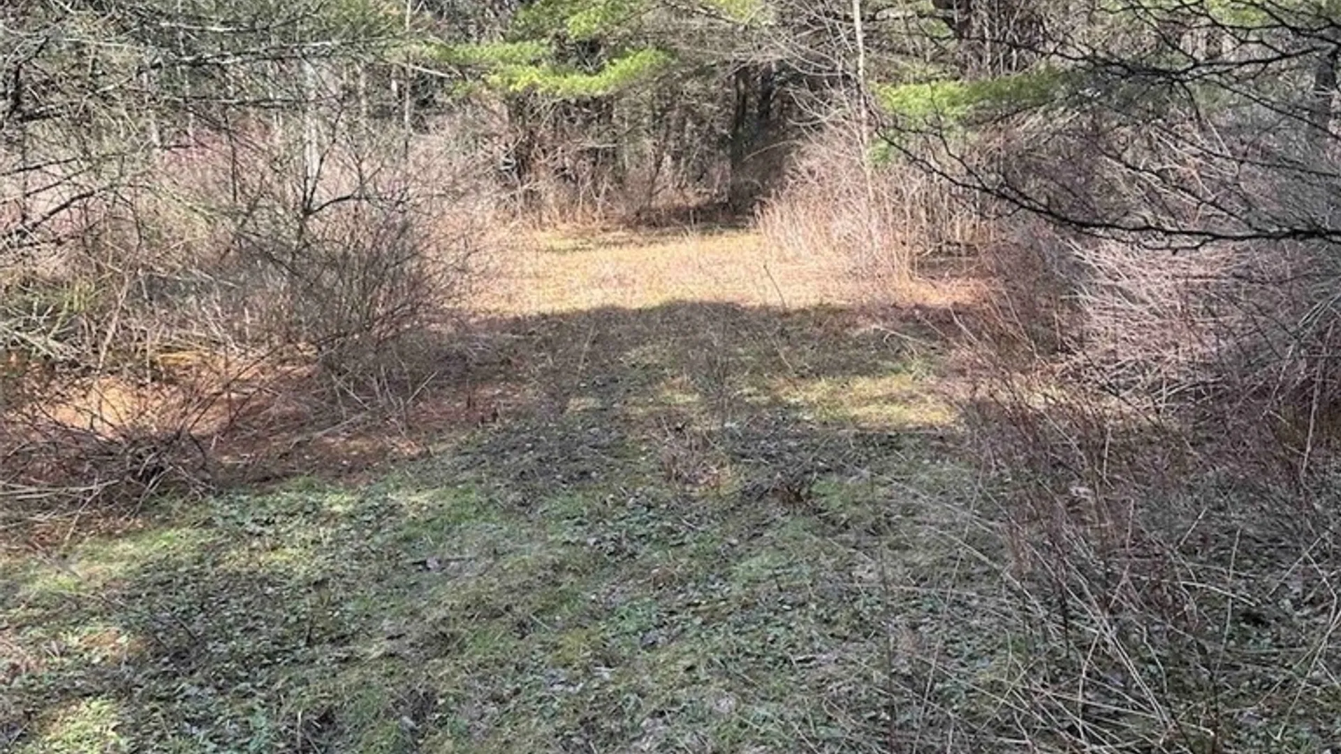 Property at 219 Martin Hill Road, Colesville, NY 13787 32