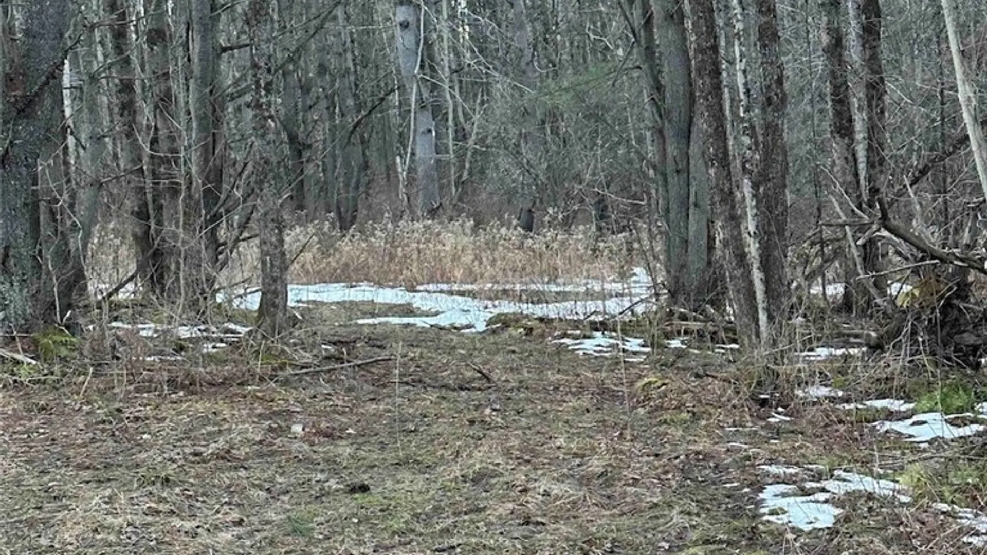 Property at 219 Martin Hill Road, Colesville, NY 13787 33