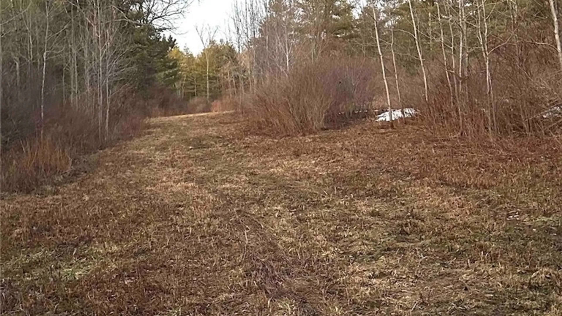 Property at 219 Martin Hill Road, Colesville, NY 13787 34