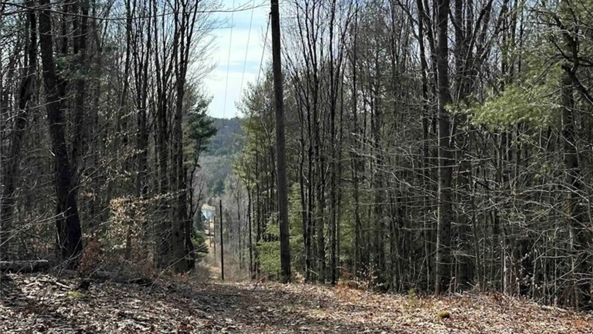 Property at 219 Martin Hill Road, Colesville, NY 13787 37