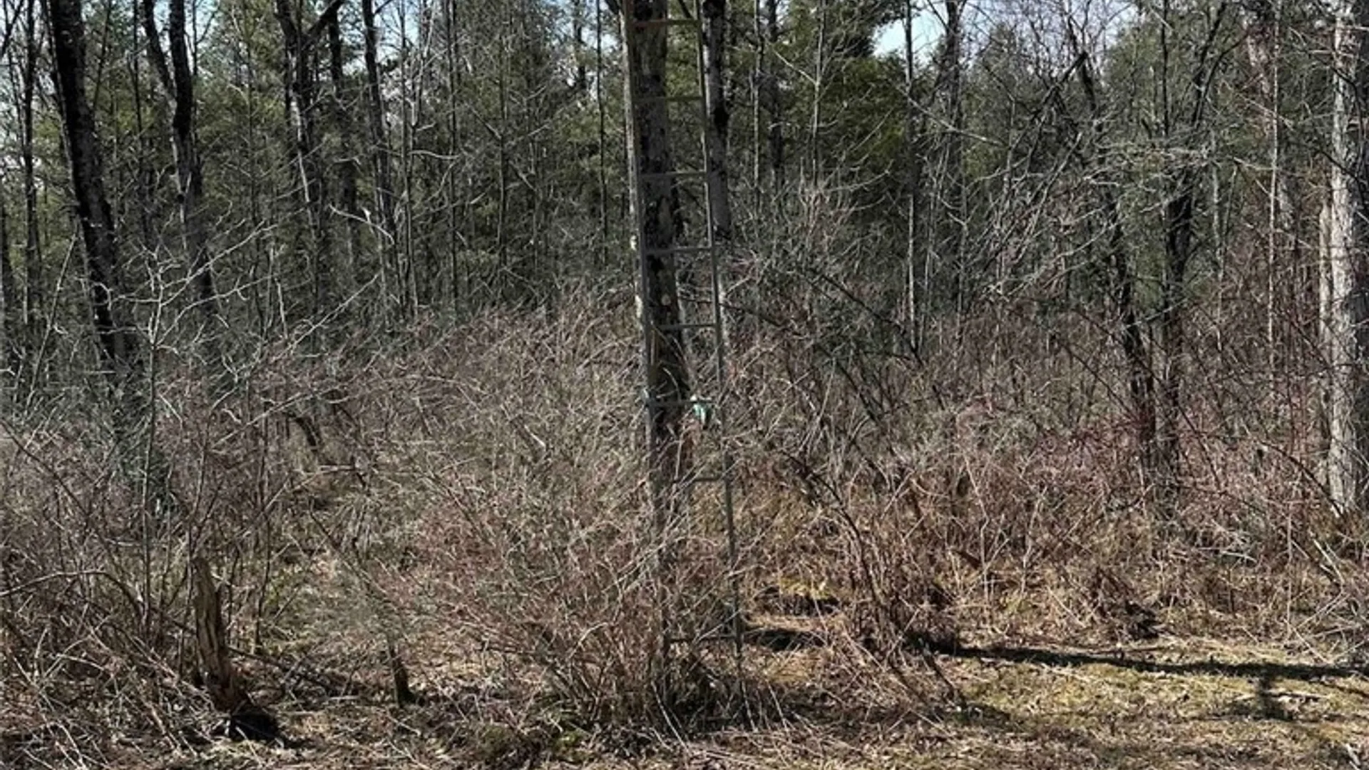 Property at 219 Martin Hill Road, Colesville, NY 13787 38