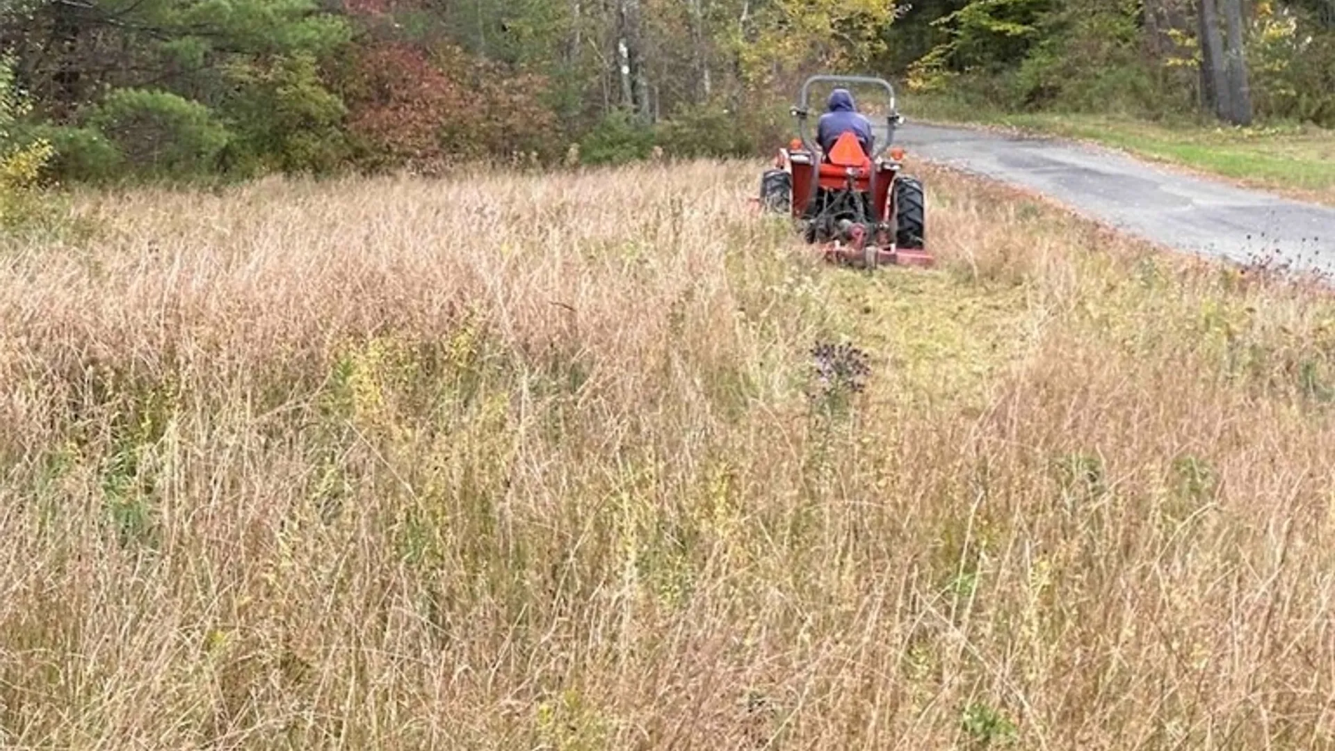 Property at 219 Martin Hill Road, Colesville, NY 13787 39