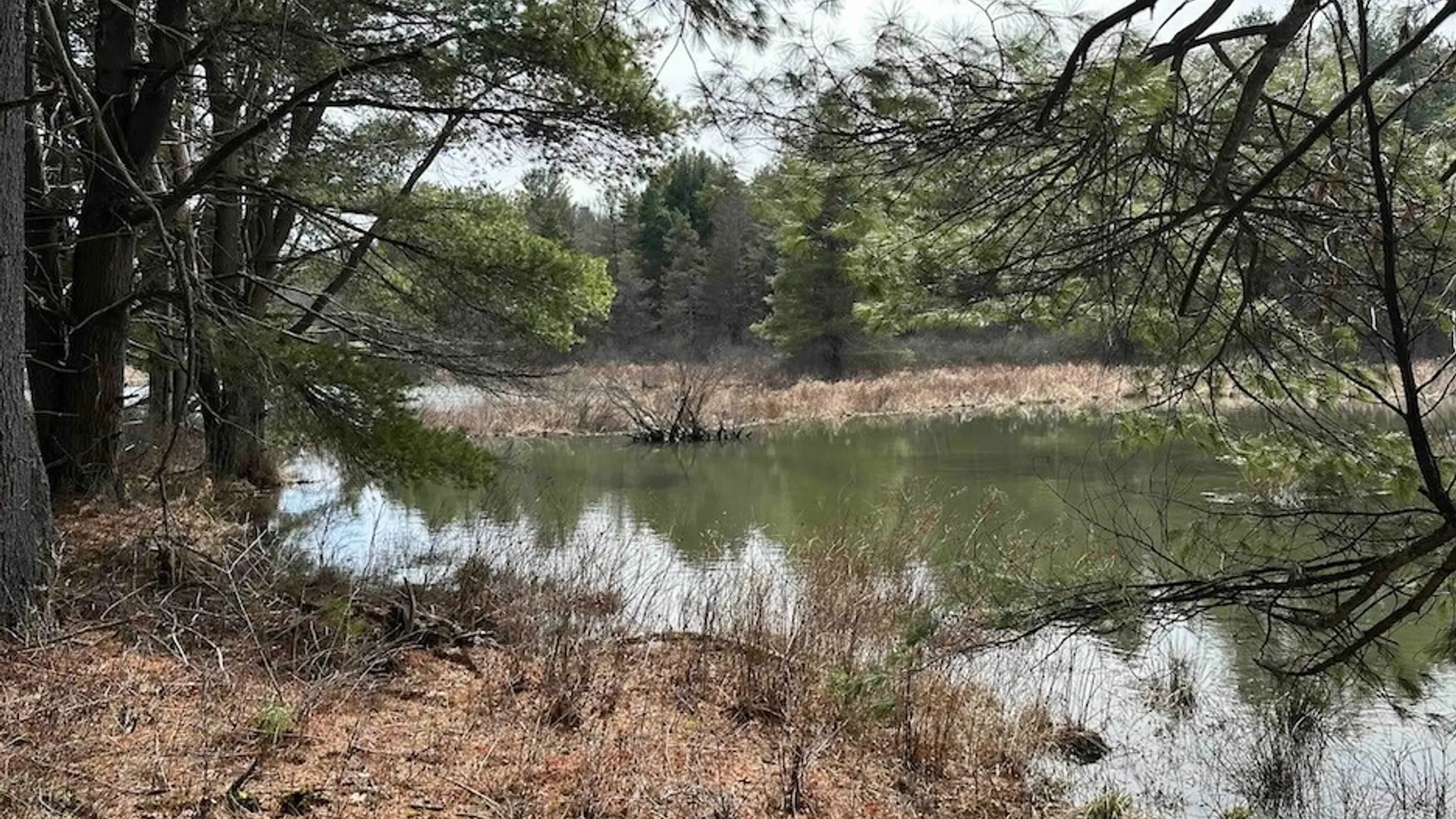 Property at 219 Martin Hill Road, Colesville, NY 13787 4