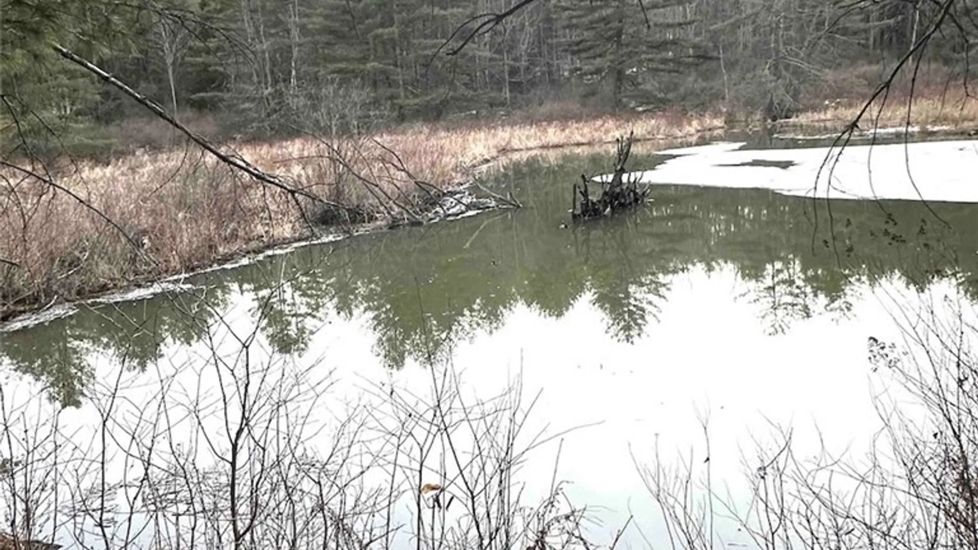 Property at 219 Martin Hill Road, Colesville, NY 13787 5