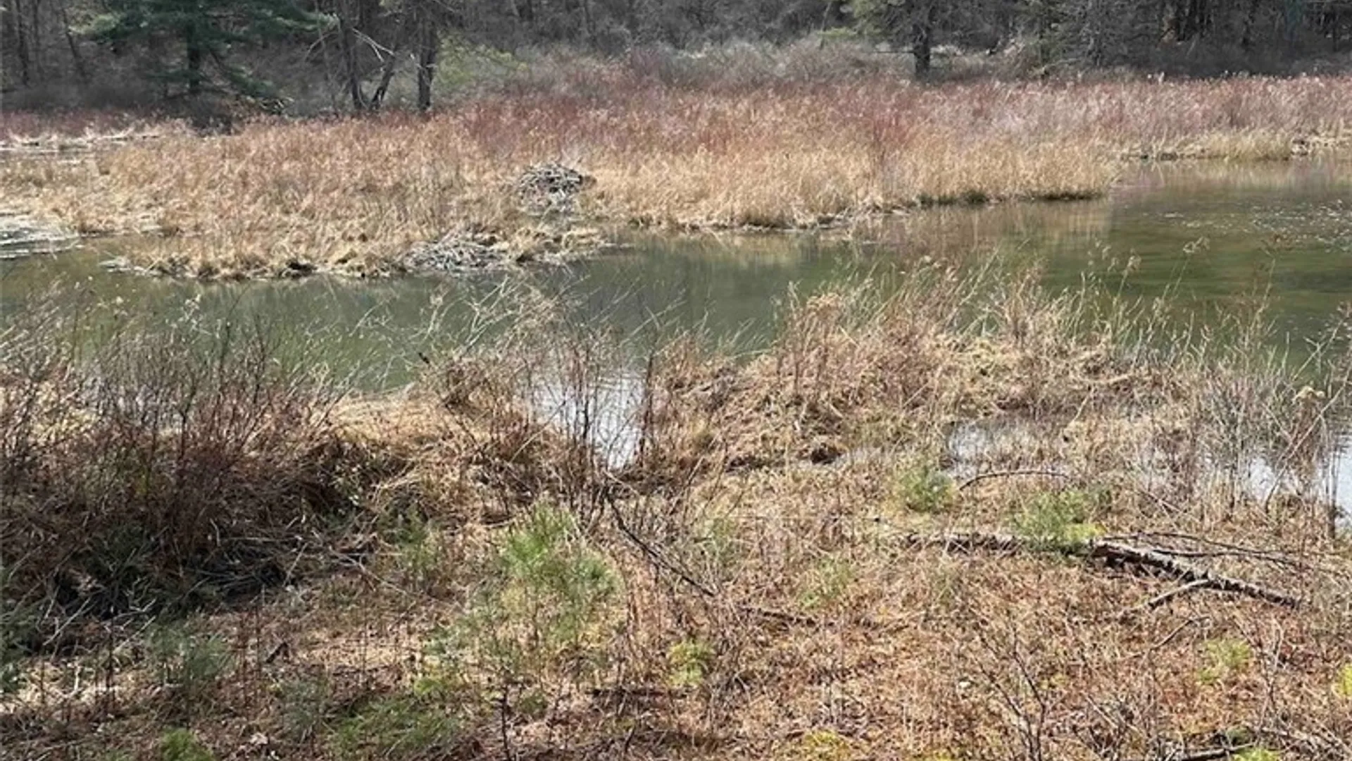 Property at 219 Martin Hill Road, Colesville, NY 13787 6