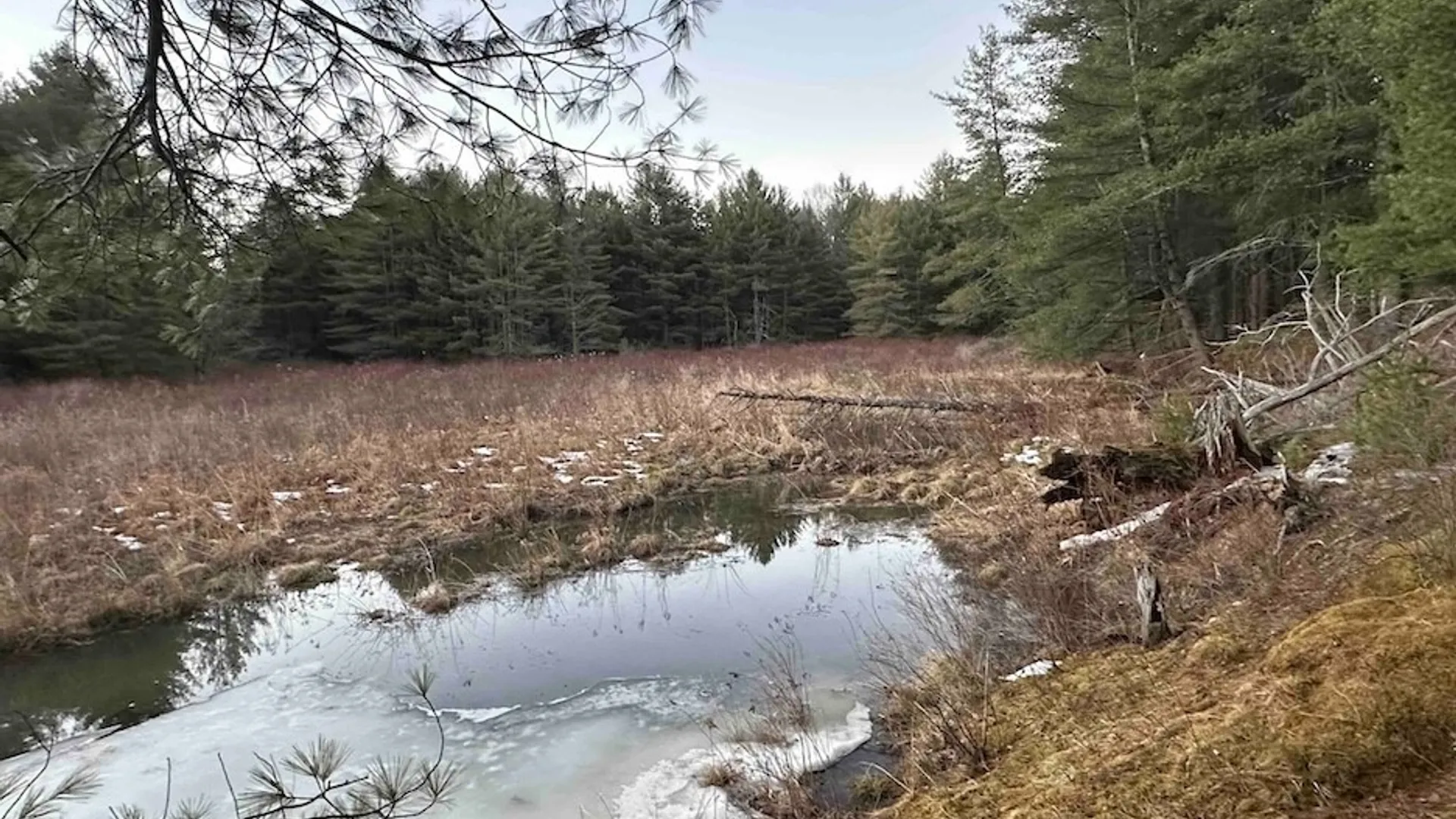 Property at 219 Martin Hill Road, Colesville, NY 13787 7