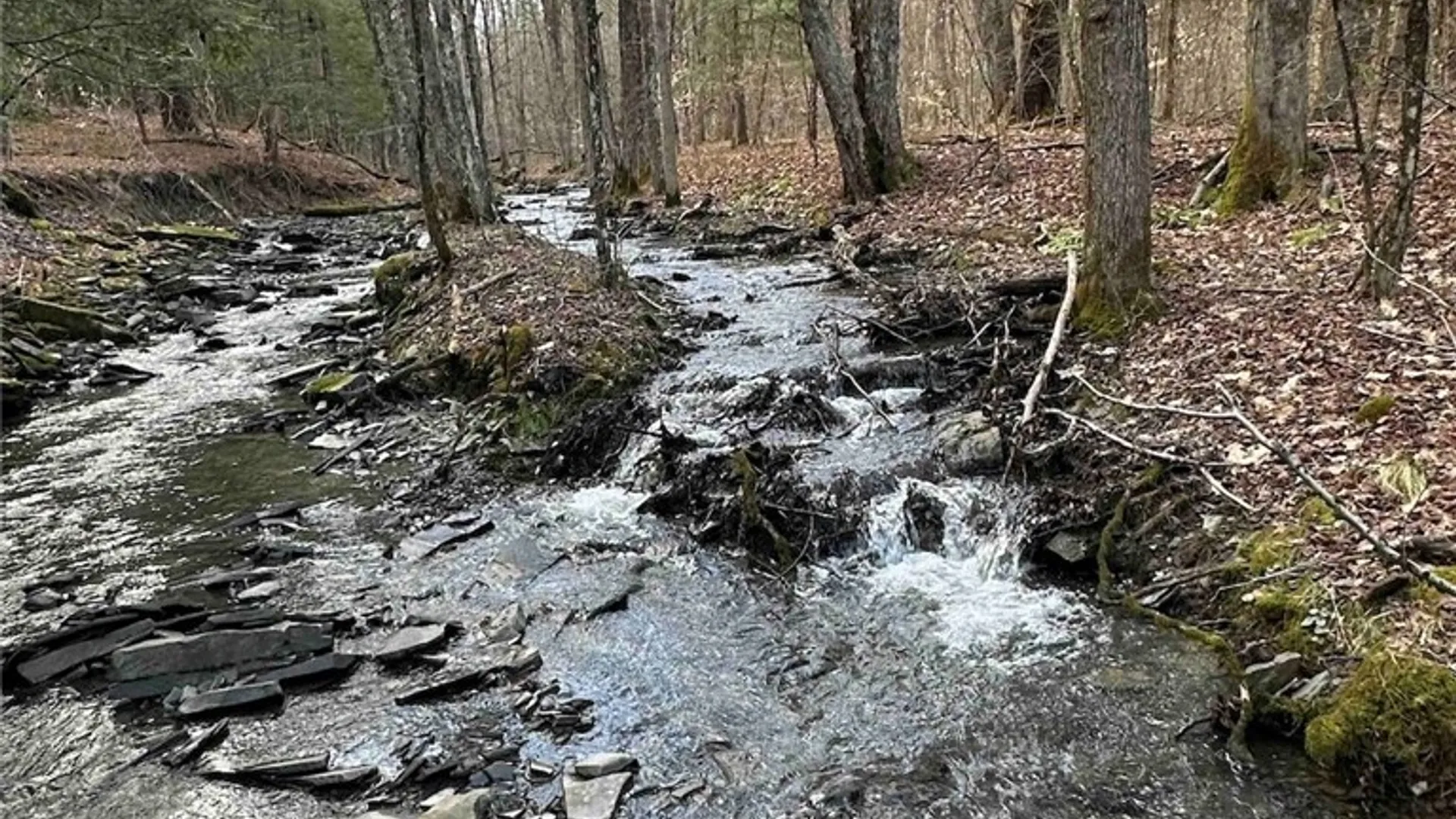 Property at 219 Martin Hill Road, Colesville, NY 13787 8