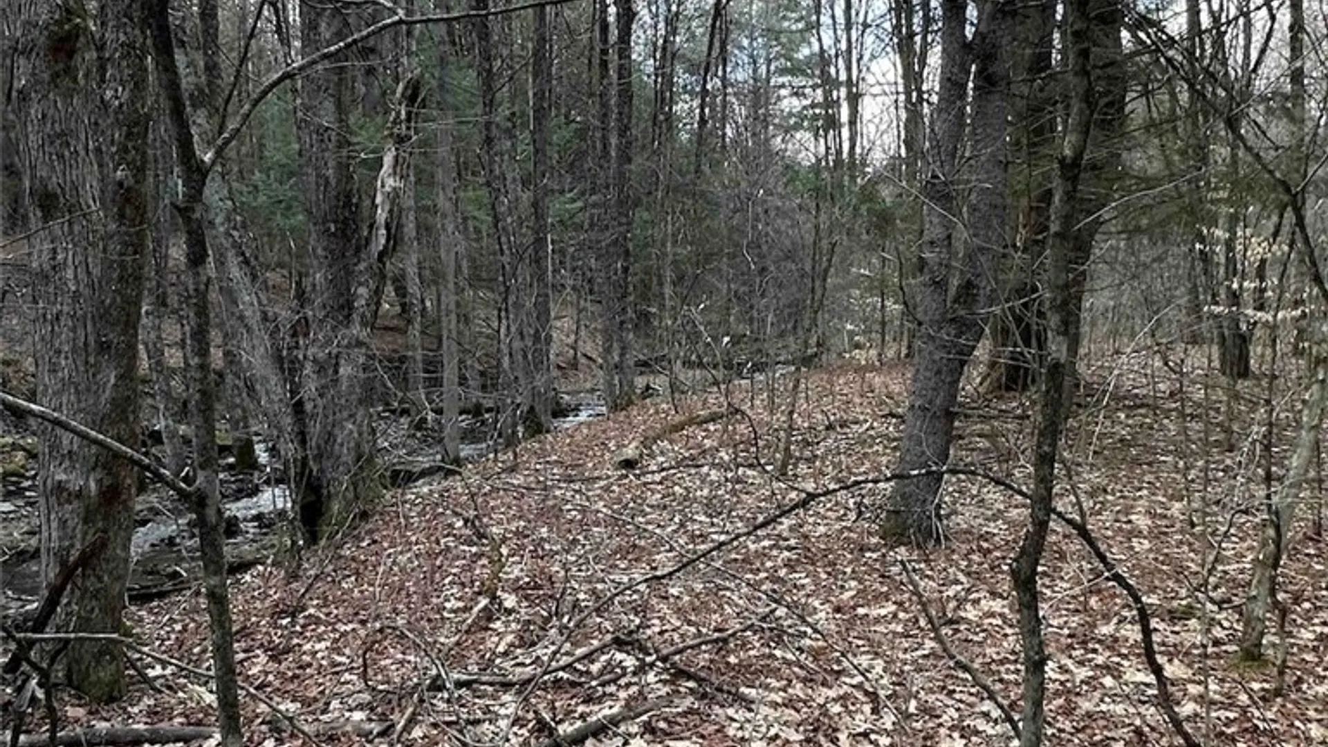 Property at 219 Martin Hill Road, Colesville, NY 13787 9