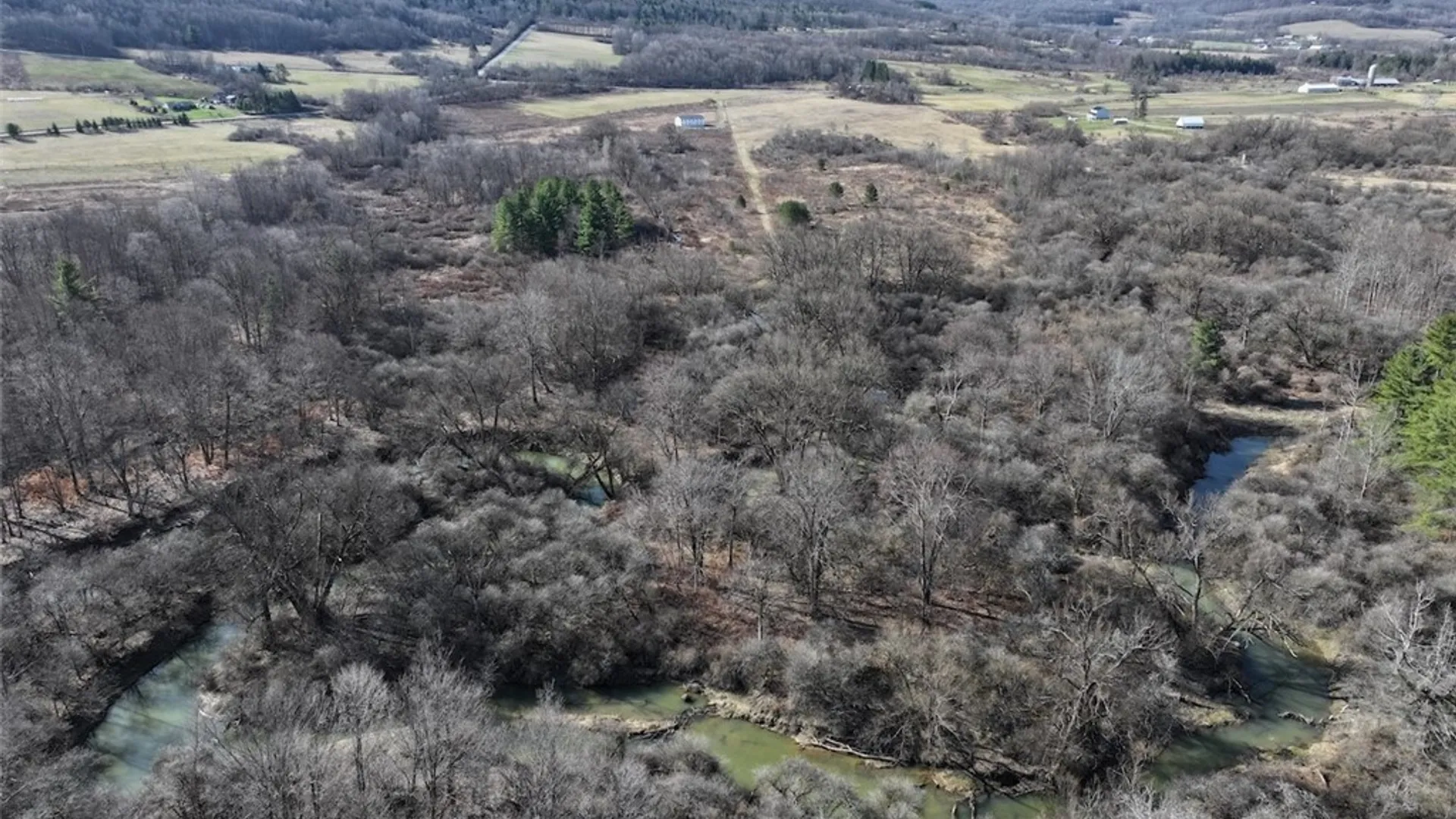 Property at 8146 County Road 41, New Hudson, NY 14711 20