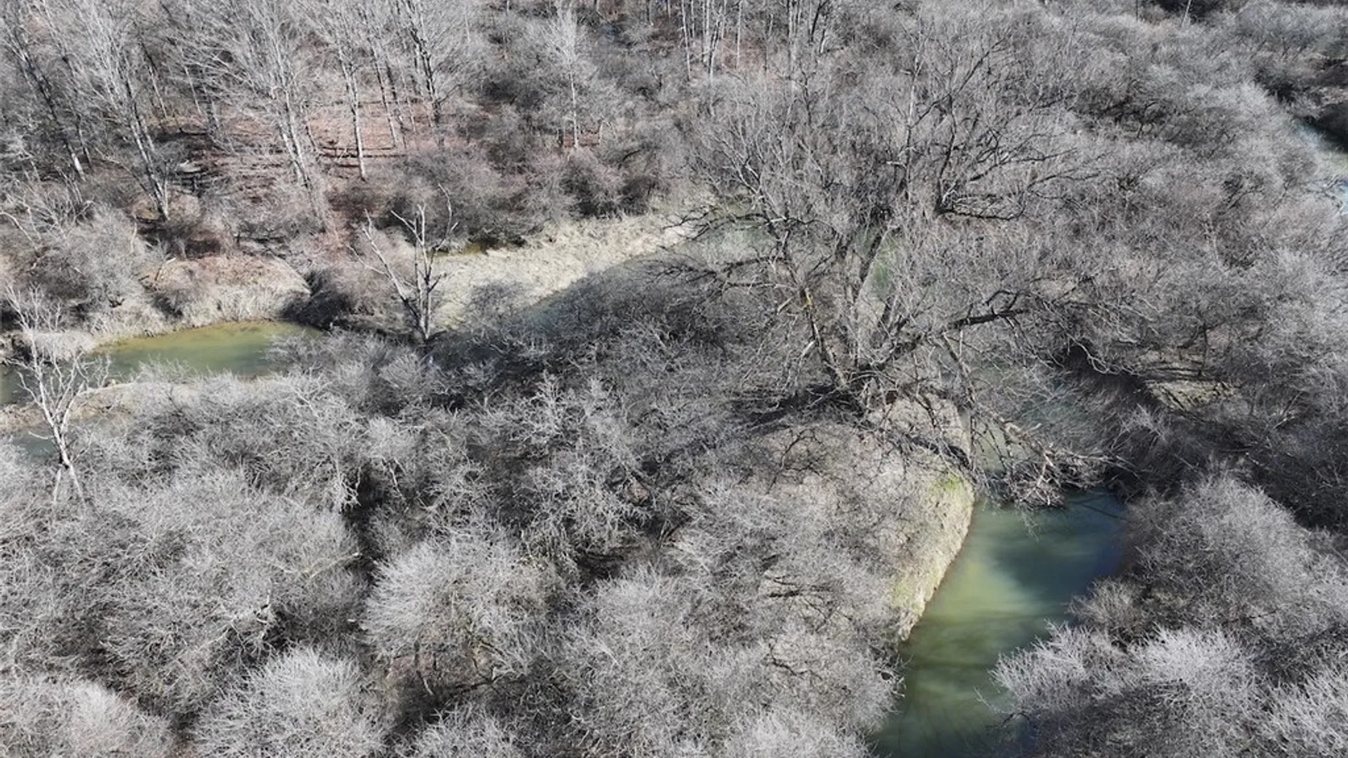 Property at 8146 County Road 41, New Hudson, NY 14711 22