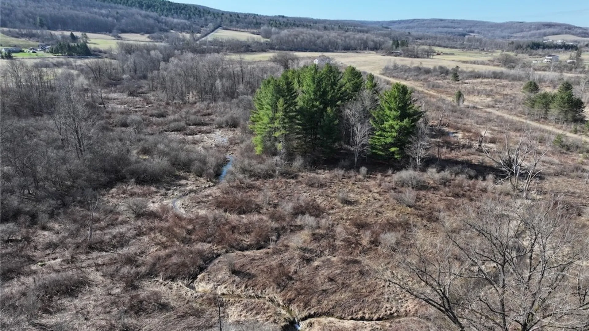 Property at 8146 County Road 41, New Hudson, NY 14711 23