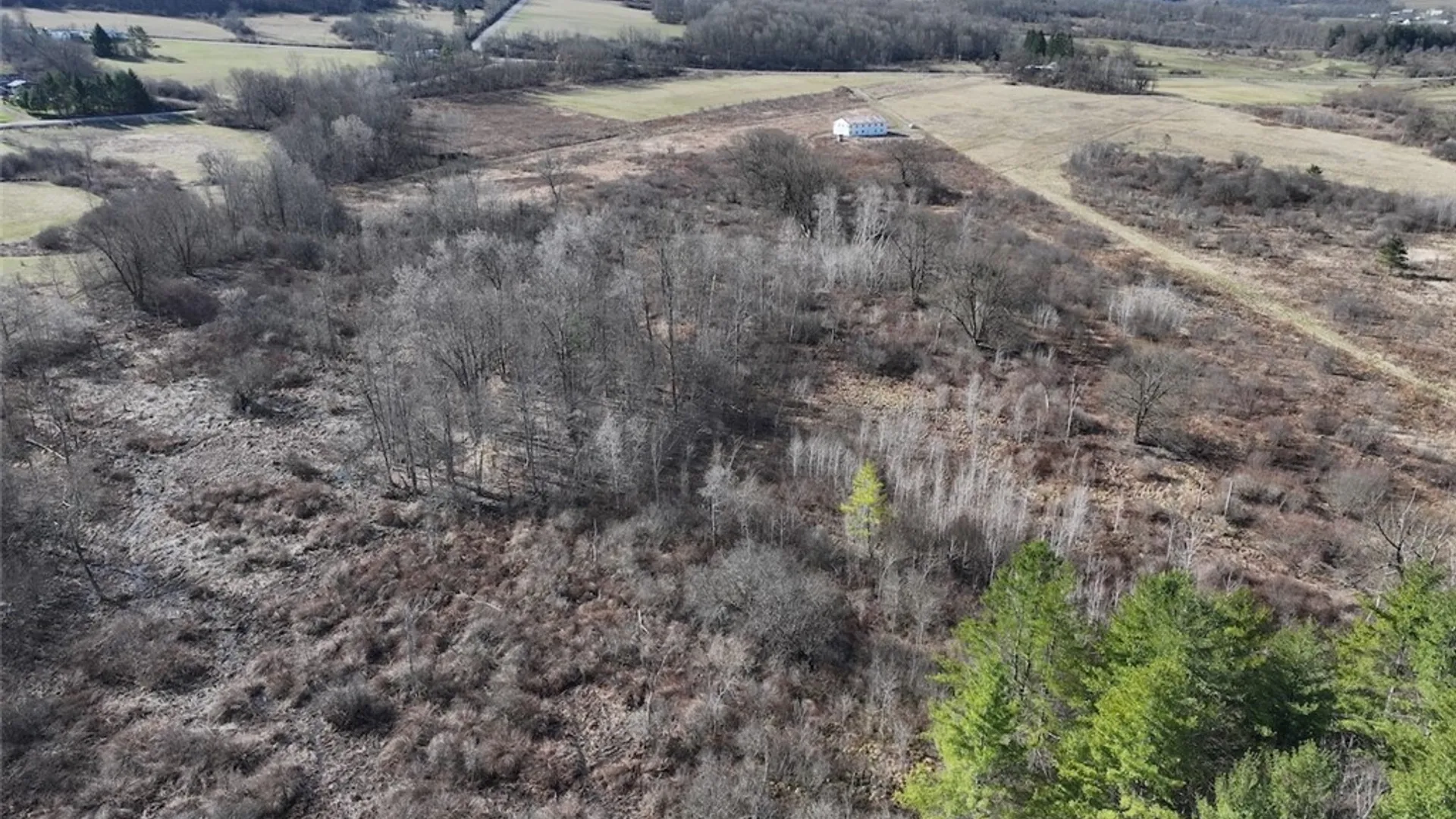 Property at 8146 County Road 41, New Hudson, NY 14711 24