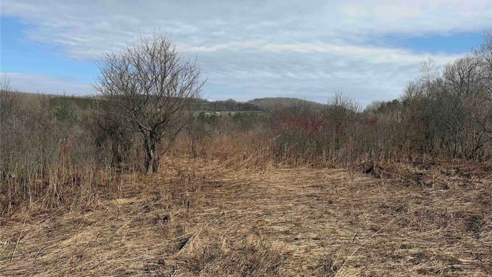 Property at 8146 County Road 41, New Hudson, NY 14711 29