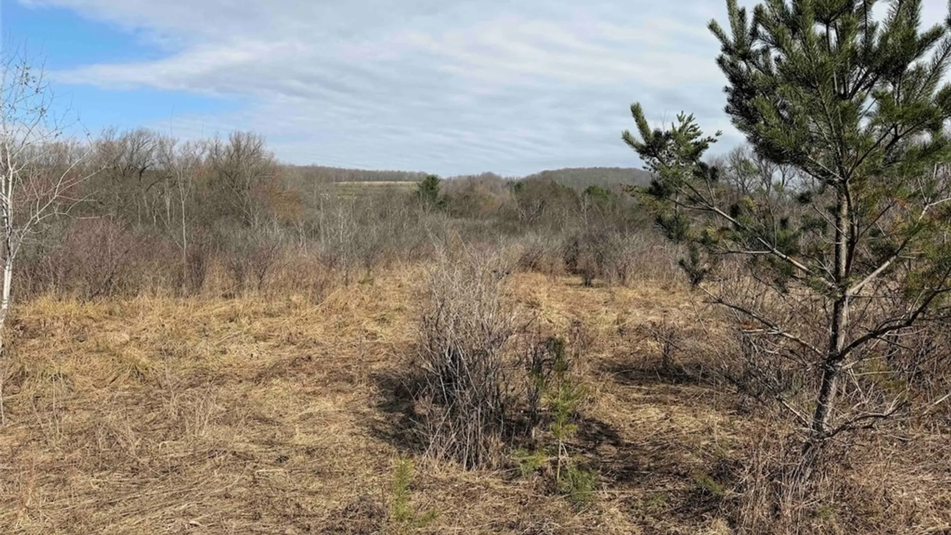 Property at 8146 County Road 41, New Hudson, NY 14711 30