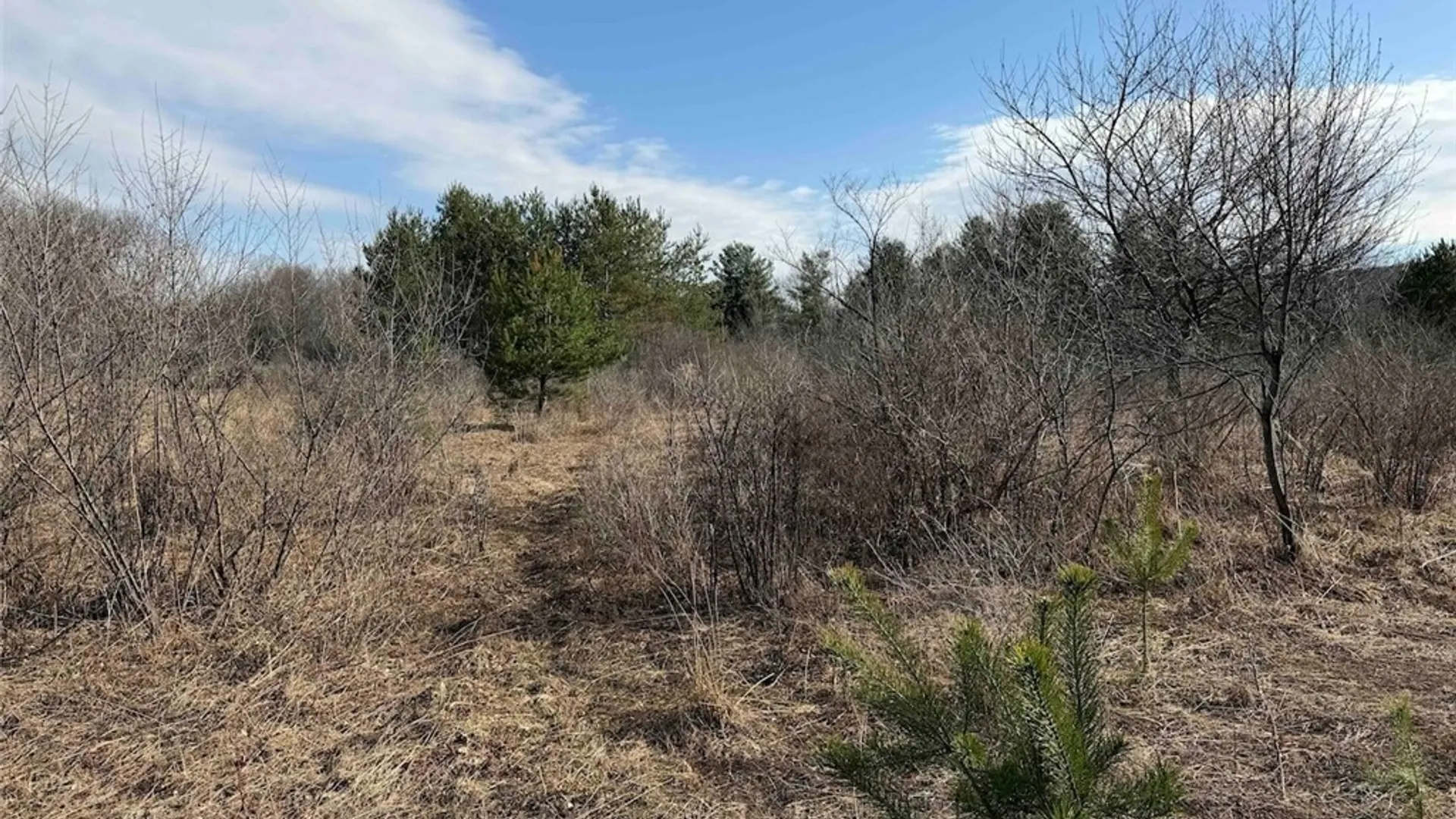 Property at 8146 County Road 41, New Hudson, NY 14711 31