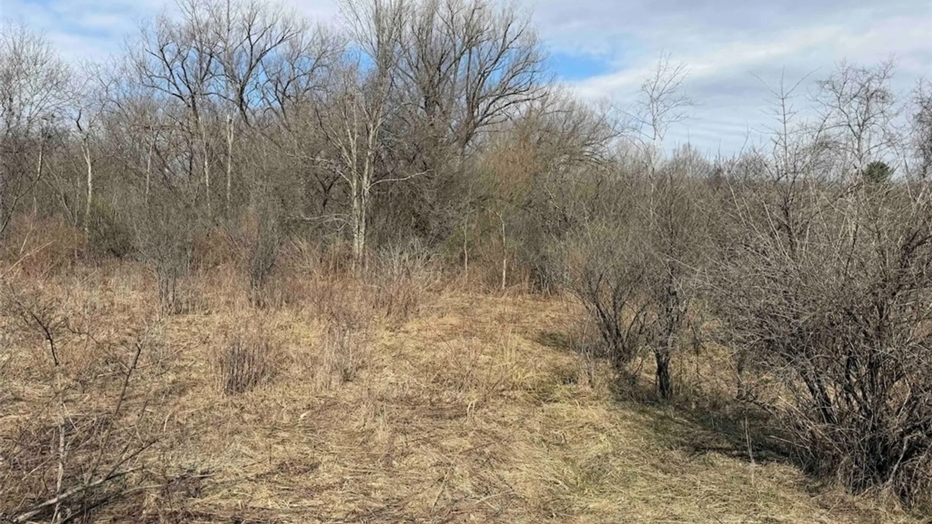 Property at 8146 County Road 41, New Hudson, NY 14711 32