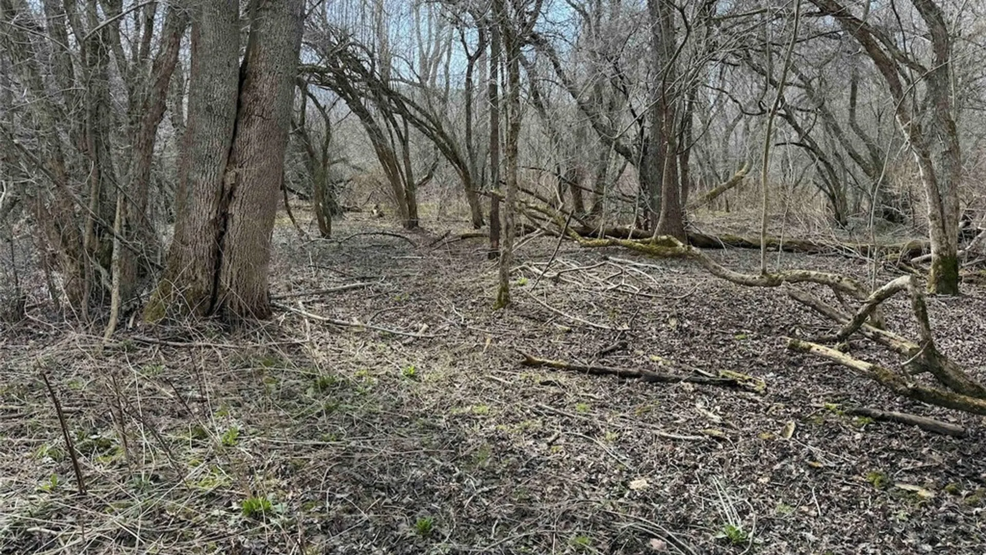 Property at 8146 County Road 41, New Hudson, NY 14711 36