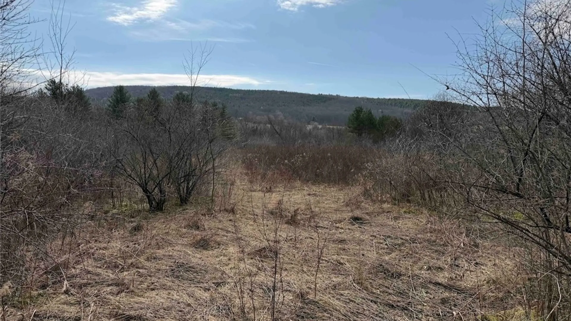 Property at 8146 County Road 41, New Hudson, NY 14711 37