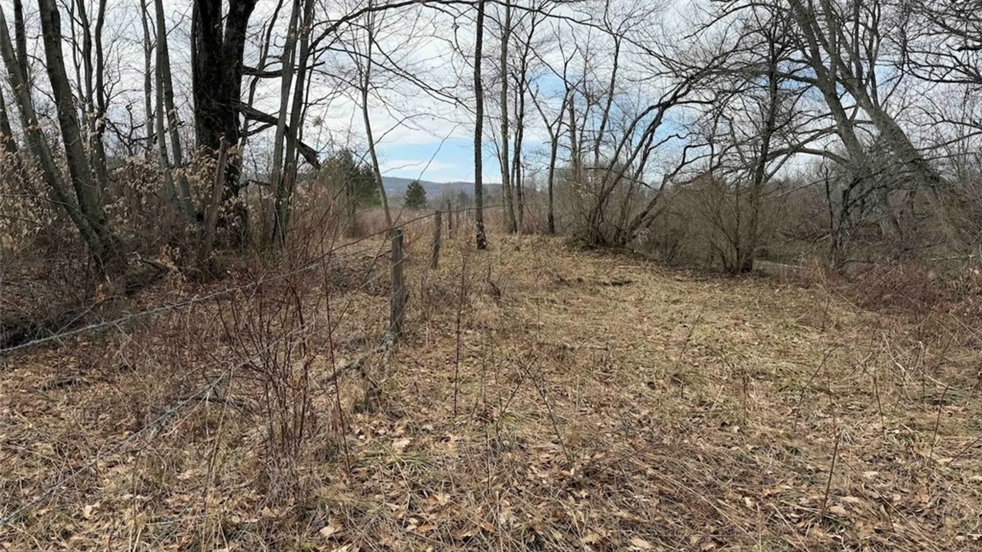 Property at 8146 County Road 41, New Hudson, NY 14711 38