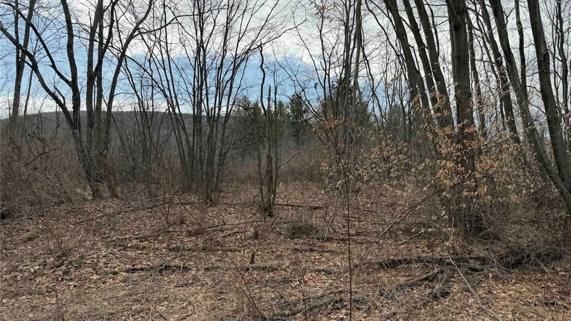 Property at 8146 County Road 41, New Hudson, NY 14711 39