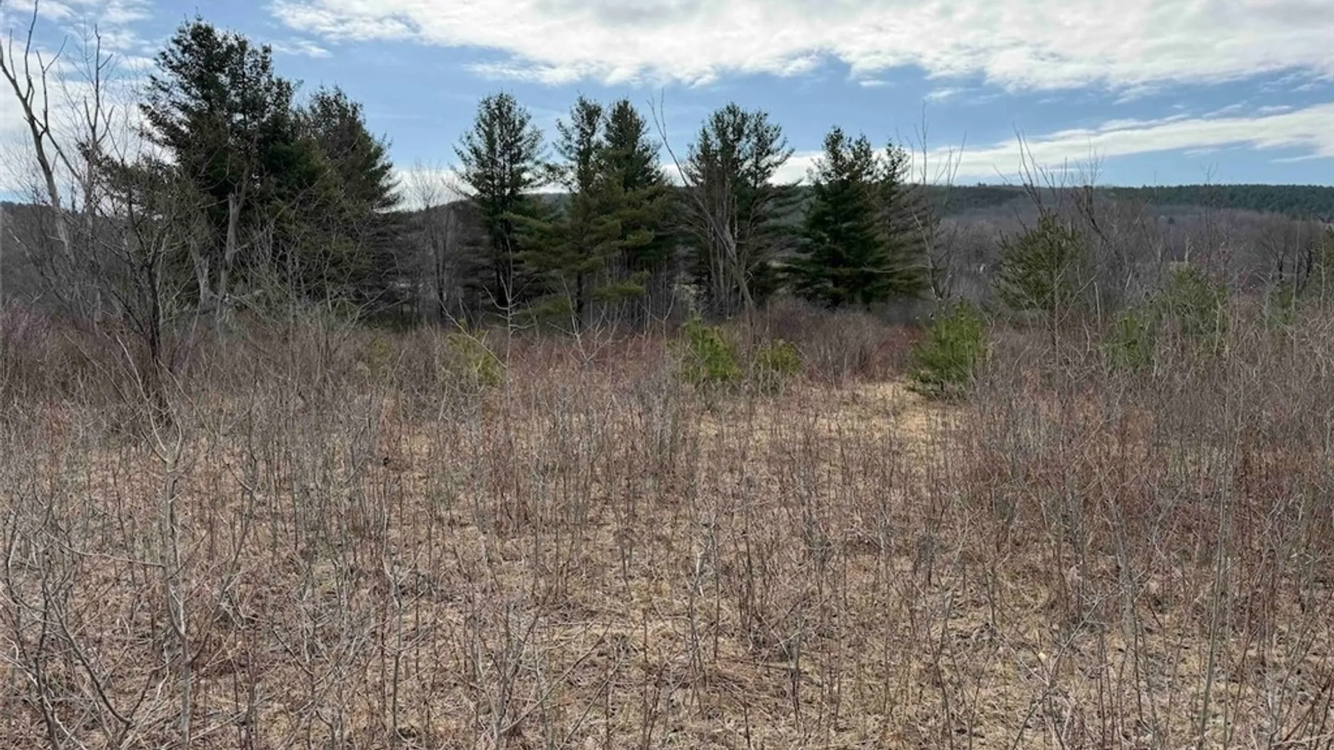 Property at 8146 County Road 41, New Hudson, NY 14711 41