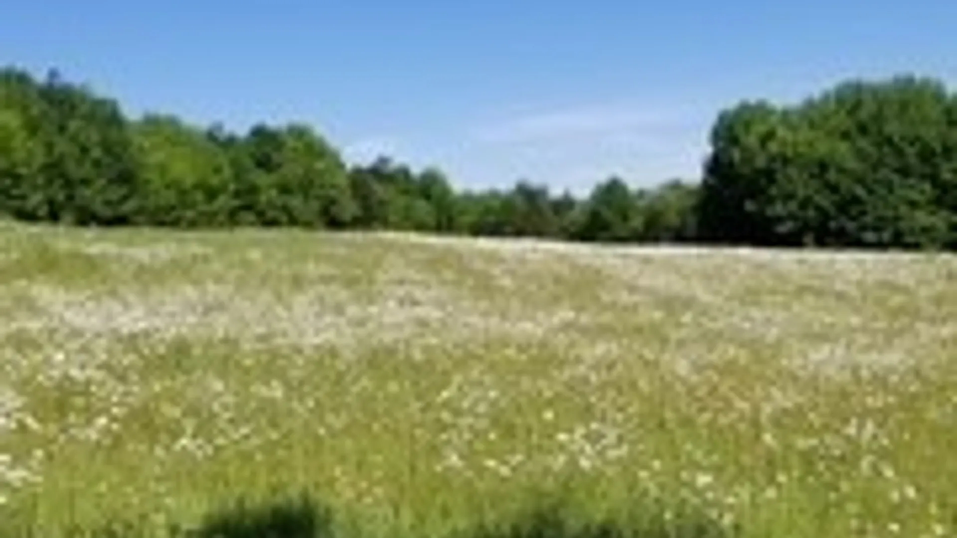 Property at Talbot Road, Plainfield, NY 13491 2