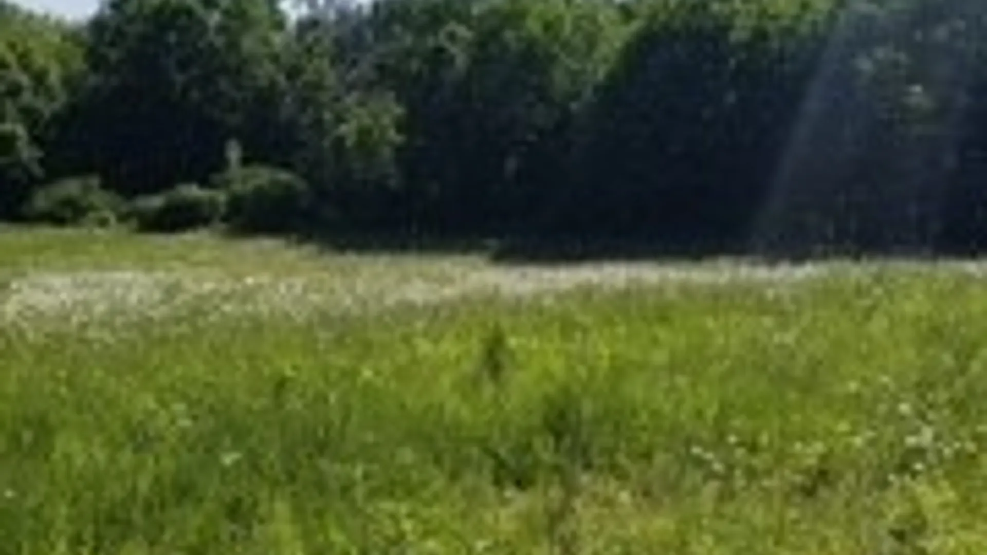 Property at Talbot Road, Plainfield, NY 13491 3