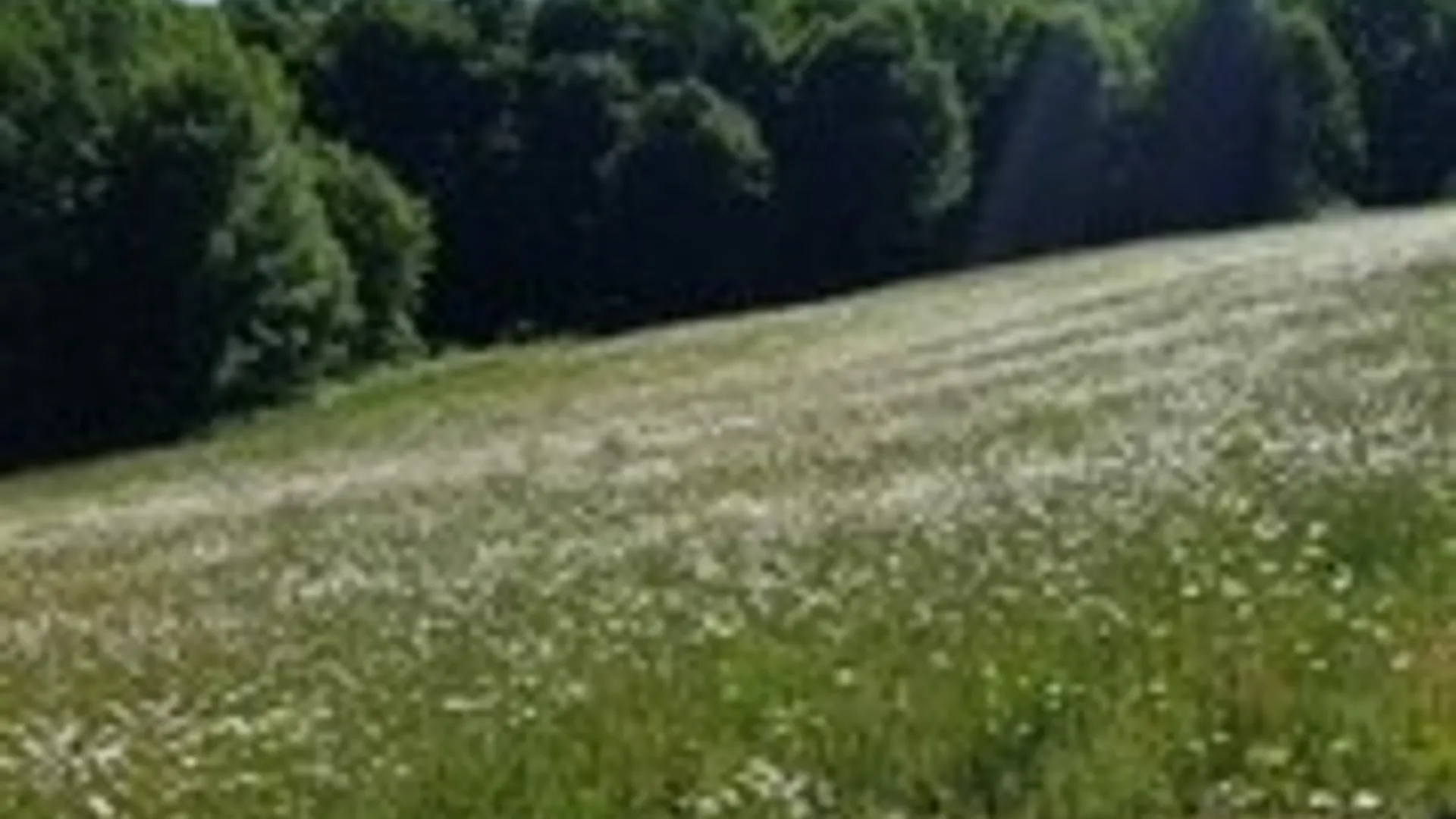 Property at Talbot Road, Plainfield, NY 13491 4