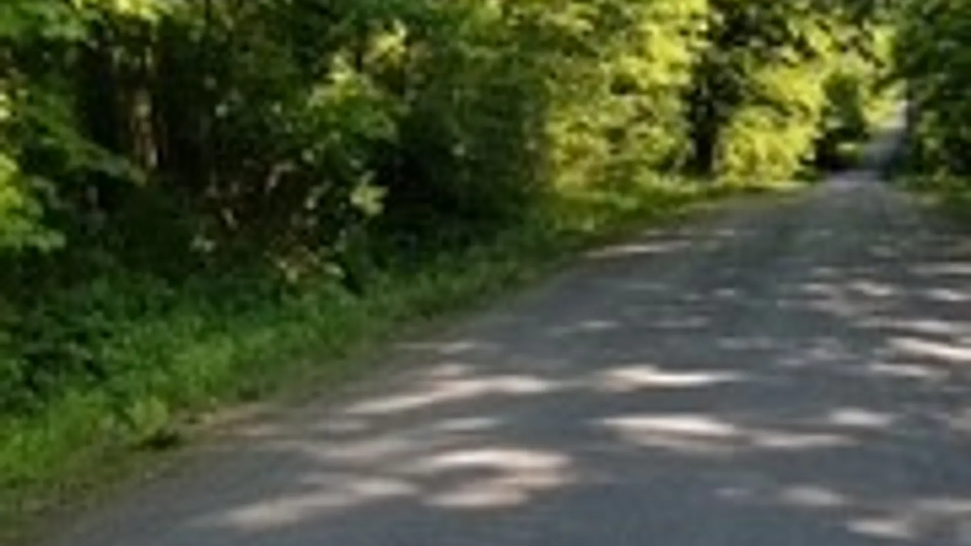 Property at Talbot Road, Plainfield, NY 13491 7