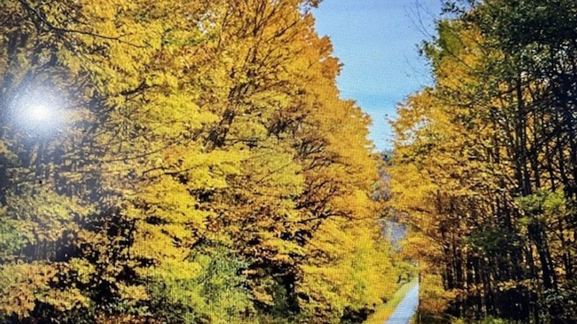 Property at Talbot Road, Plainfield, NY 13491 8