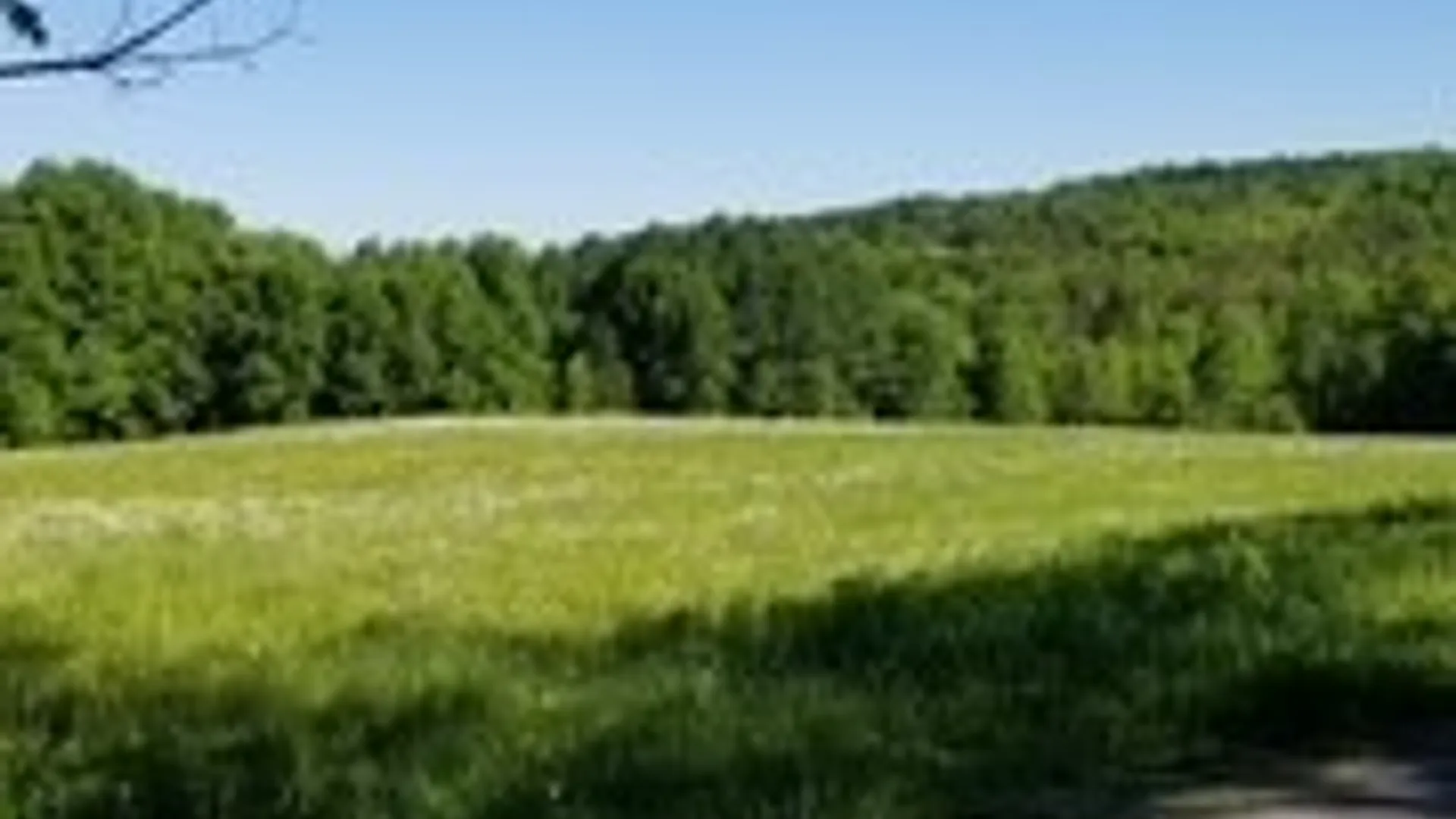 Property at Talbot Road, Plainfield, NY 13491 9