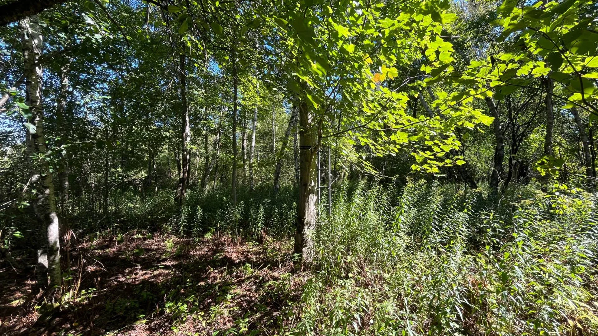 Property at 00 County Route 47, Winthrop, NY 13676 2