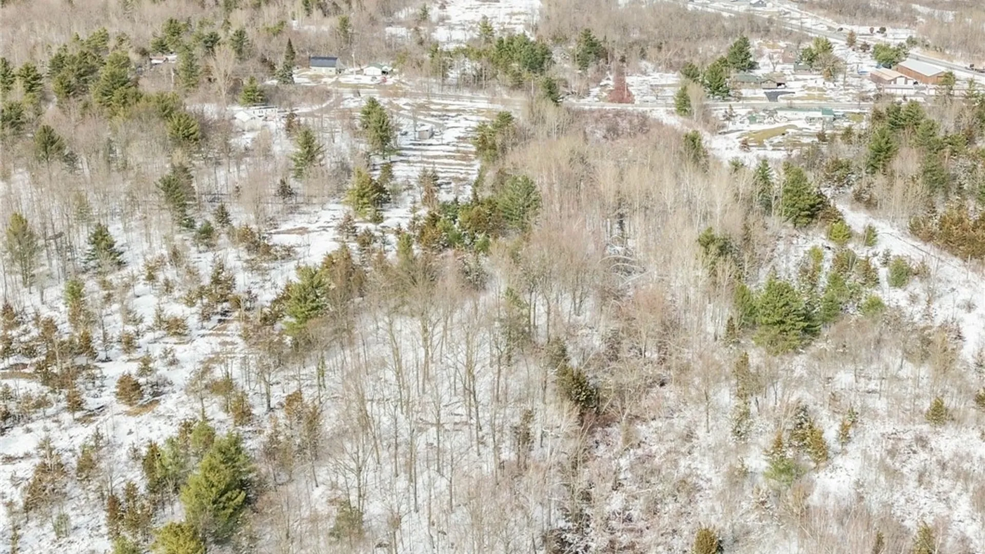 Property at Simpson Road, Theresa, NY 13691 16